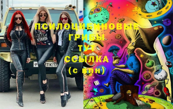 ешки Абинск
